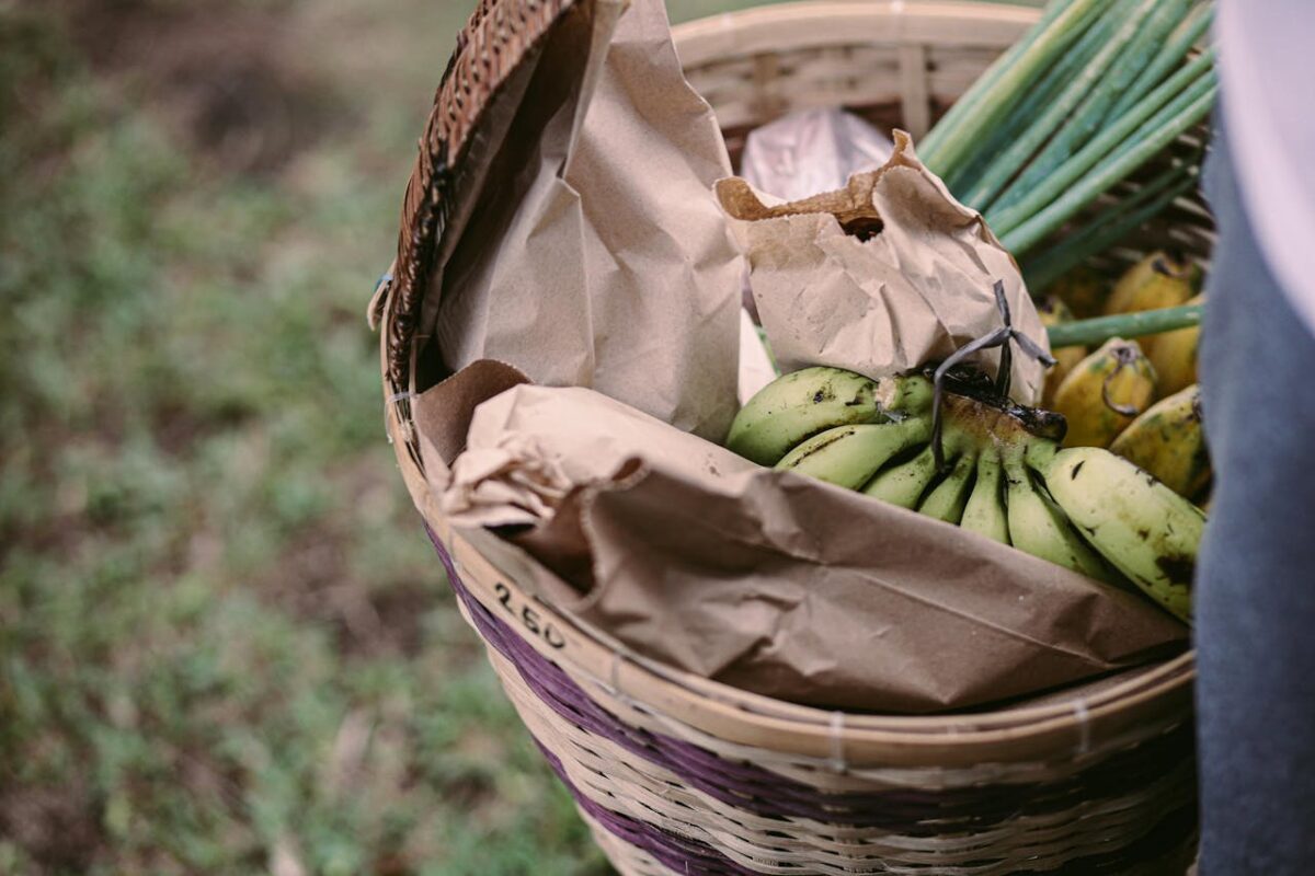 Overhead view of fresh fruits and vegetables in a wicker basket on grass.