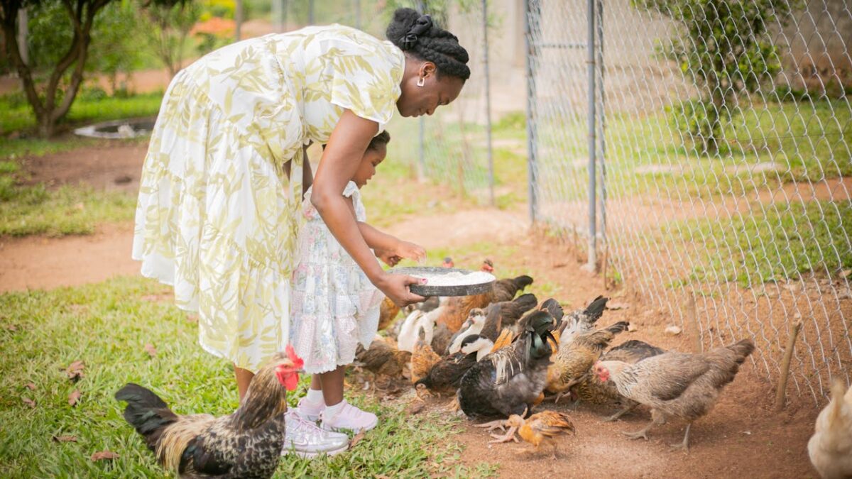 services-img-01 A woman and child feeding a group of chickens outdoors on a farm.